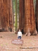 PICTURES/Sequoia National Park/t_Parker Group & Sharon1.JPG